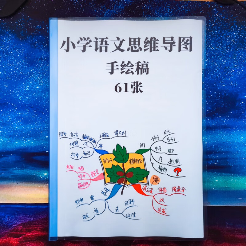 小学语文课文古诗思维导图手绘稿61幅 知识总结脑图拉杆文件夹31