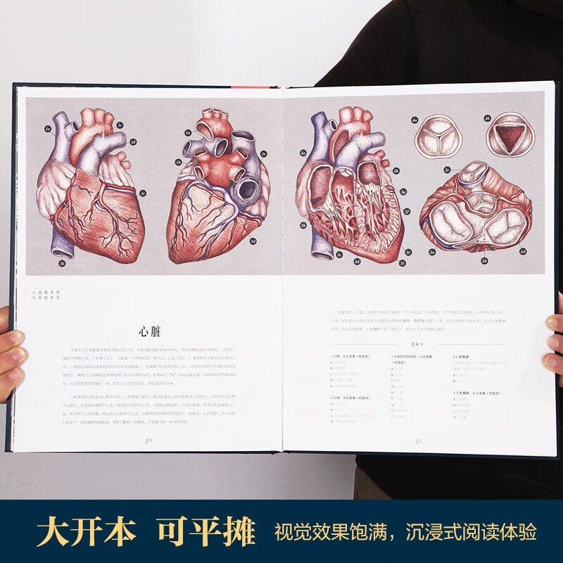 奇迹博物馆系列（套装2册）人体博物馆+太空博物馆 乐乐趣7岁+儿童科普阅读 揭秘人体和太空的秘密知识 亲子互动大百科全书 小学生课外阅读详情图