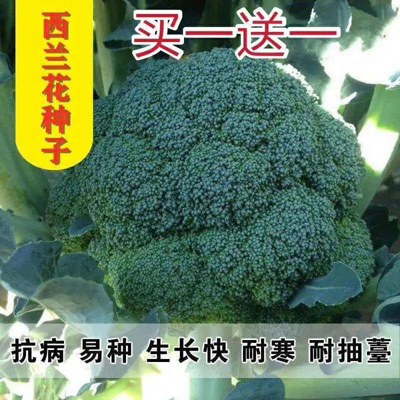 花椰菜 相关京东优惠商品价格升序排行榜 价格图片品牌优惠券 虎窝购