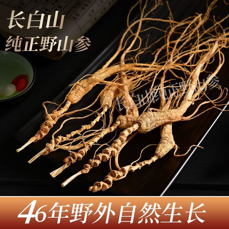 人参长白山人参野山参46年林下参干人参吉林人参长白山林下山参 净重