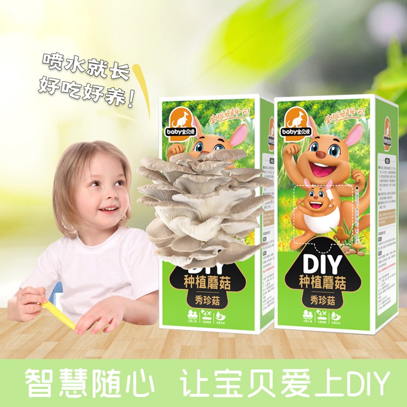 宝贝说蘑菇盒子可食用diy菌棒菌种子秀珍菇平菇种植包儿童2盒