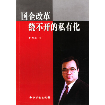 国企改革，绕不开的私有化【正版图书】