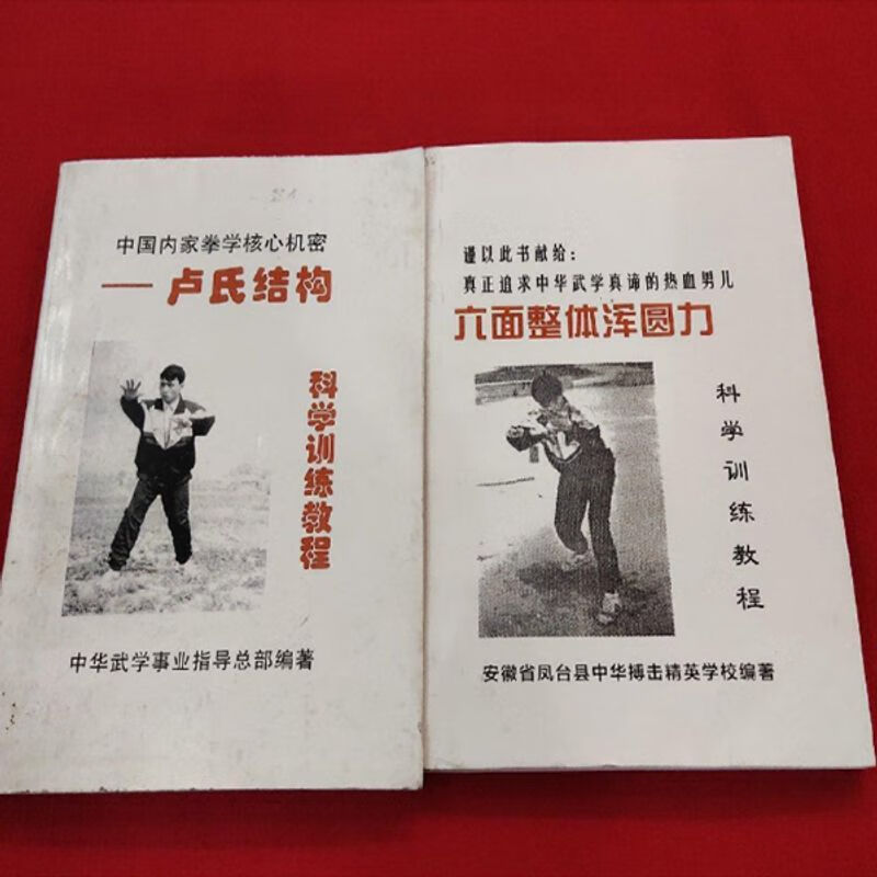 中国内家拳学核心/卢氏结构+六面整体浑圆力/合售/科学训练教程