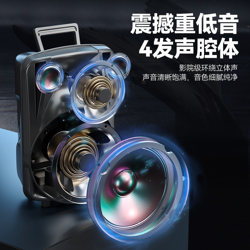 新科（Shinco）T11 蓝牙音响 便携移动户外广场舞音箱大喇叭门店摆摊扩音器8吋