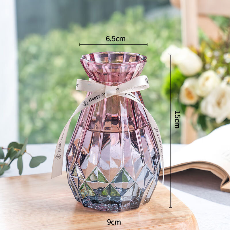 【顾二】花瓶玻璃透明彩色水培绿萝植物玻璃花瓶家用插花客厅装饰摆件 15CM新诺(渐变蓝紫色)2个