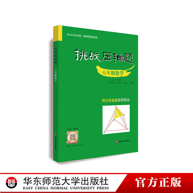 挑战压轴题7-8-9年级数学同步压轴题精讲精练初中同步练习讲解【6月30日发完】 八年级通用