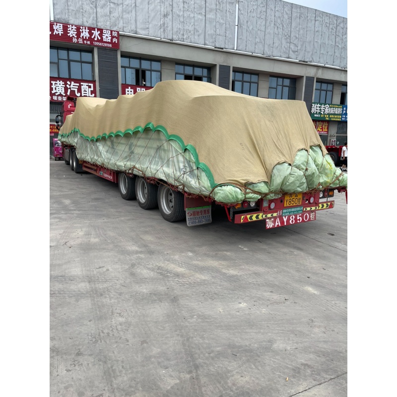 防护网绳拉纸专用货物网罩篷布防风网封车网 13米挂车专用8米x18米
