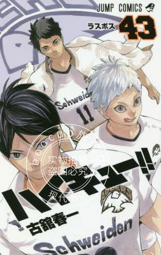 现货 进口日文 漫画 排球少年 ハイキュー!! 43