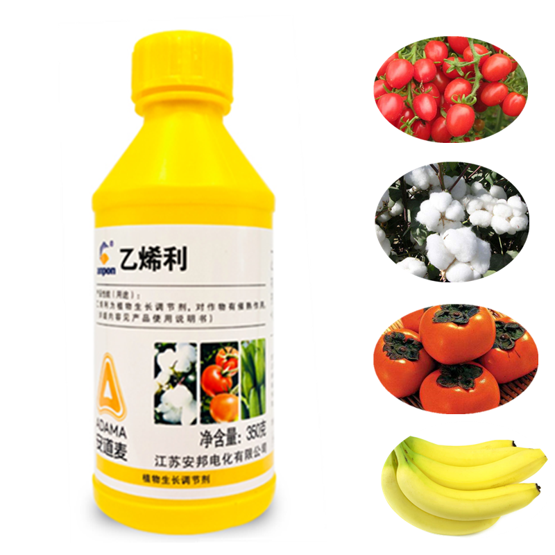 乙烯利芒果催熟剂香蕉乙稀利柿子调节剂西红柿崔熟剂水果乙烯剂 350