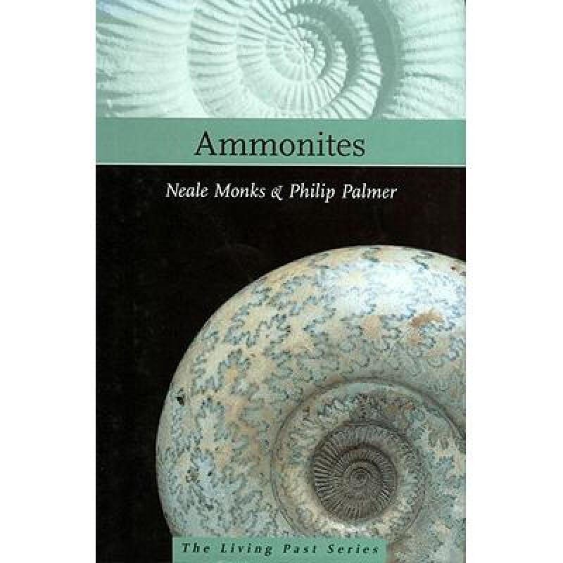 ammonites 英文原版