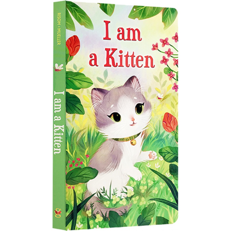 现货【英文原版】绘本 i am a kitten我是一只小猫儿童 英语启蒙早教