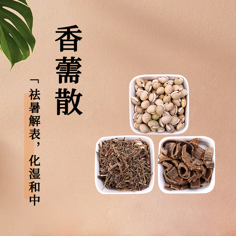康益强 香薷散祛暑解表化湿和中恶寒发热头痛身重白扁豆香薷厚朴抓