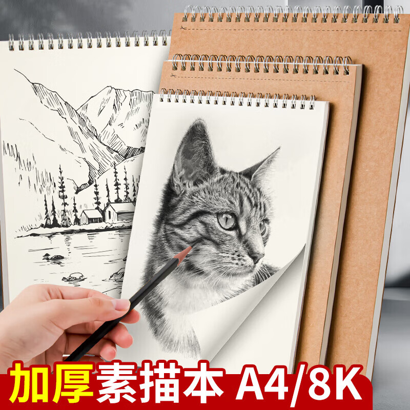 ţƤ���豾������ר��8k������ 1��B5��12��/����