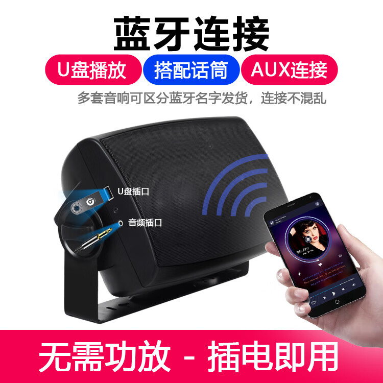 AITES舞蹈教室专用蓝牙壁挂音箱舞蹈室会议室带话筒重低音有源喇叭挂墙音响无线麦克风教学连一体机电脑 黑色主副音响+双话筒