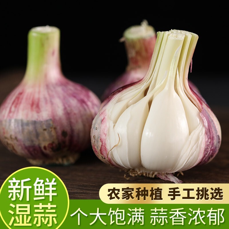 遇见悯农【现挖大蒜】蒜瓣新鲜带泥大蒜腌制糖蒜腊八蒜原料农产品产地直发 4.5斤囤货装