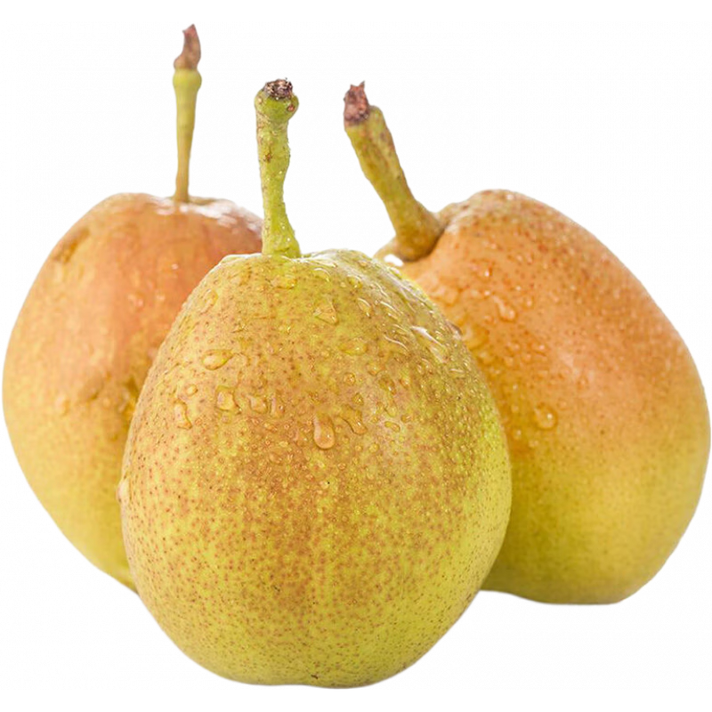 鯨咚億農(nóng)順豐 新疆庫爾勒香梨精選一級 梨子新鮮當季水果禮盒送禮特產(chǎn)水果 一級果10斤帶箱【單果100-120g】