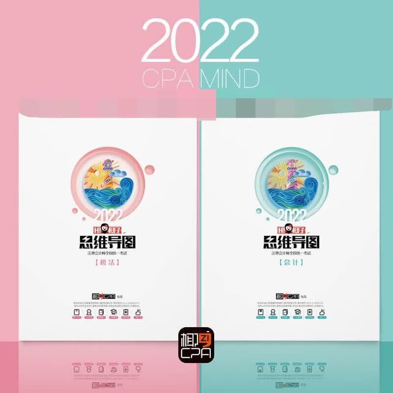 cpa椰子思维导图2022新版注会彩印思维导图高清【新疆西藏专链】 椰子思维导图战略(单科)