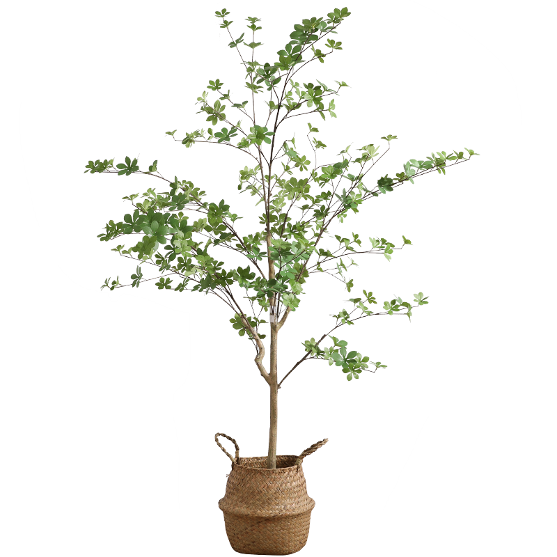 黛莉森仿真綠植日本吊鐘樹假植物仿真樹大型盆栽綠植裝飾客廳落地?cái)[件 1.4米吊鐘樹