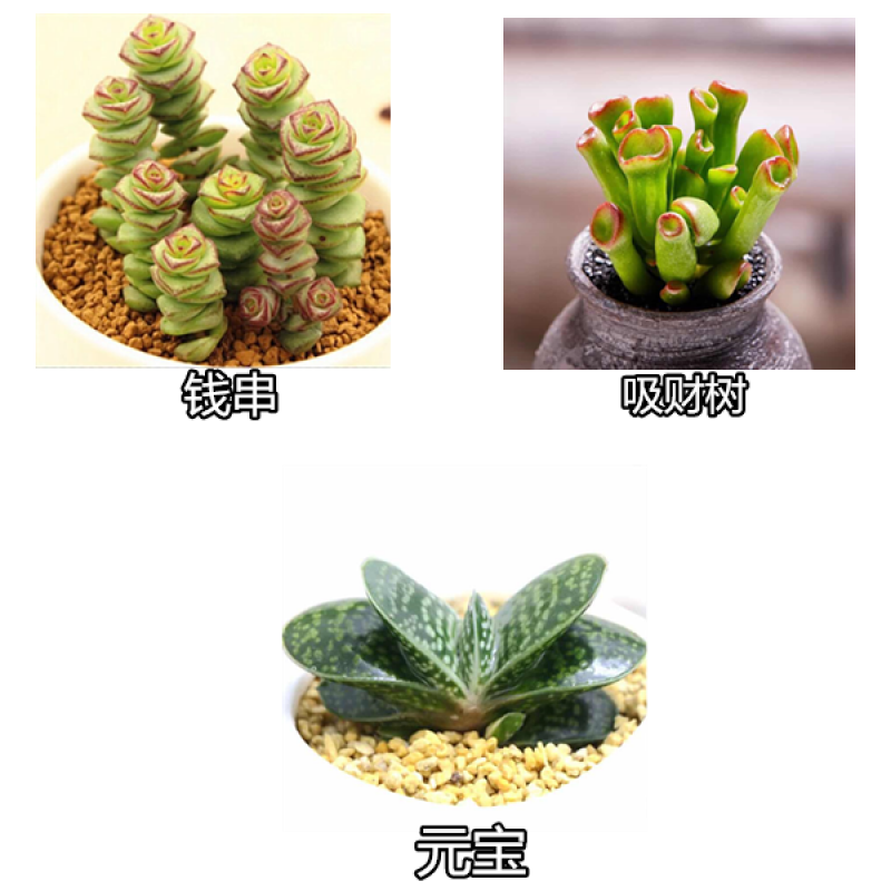 淘宝优惠券 淘宝天猫京东优拼多多优惠券免费查免费领 优优购查券网