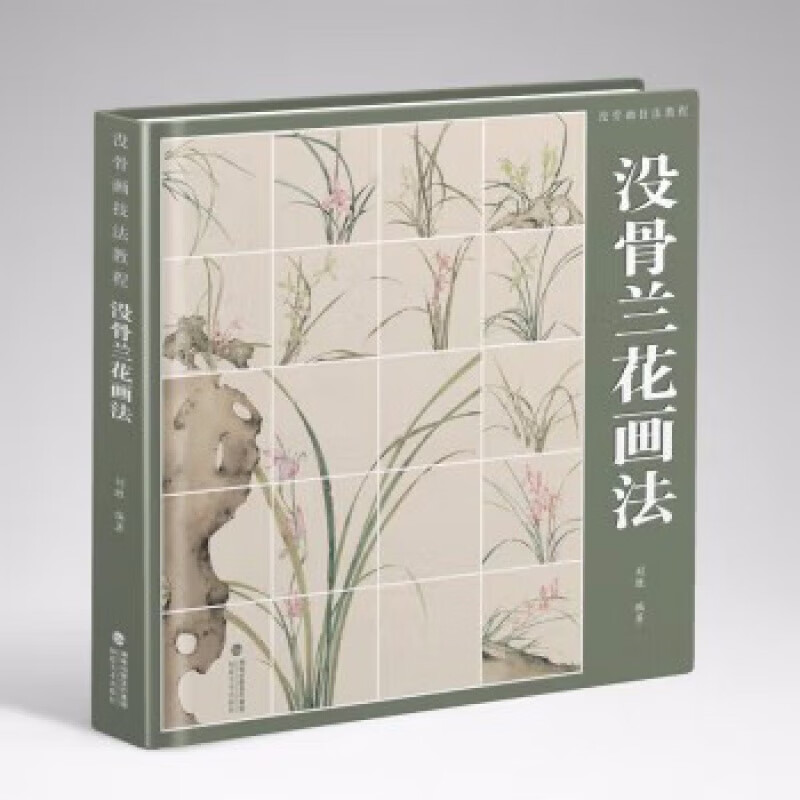 画法 没骨画技法教程 没骨花卉日课教程教学国画临摹画册作品集初学者