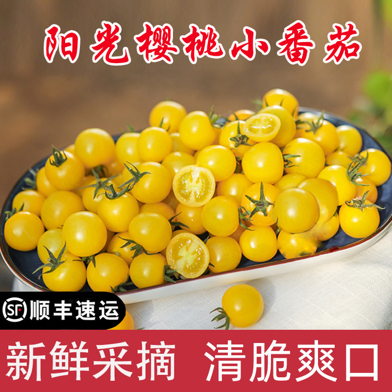 【顺丰】黄色小番茄新鲜水果无膨大无甜蜜素等自然熟3斤装 3斤装