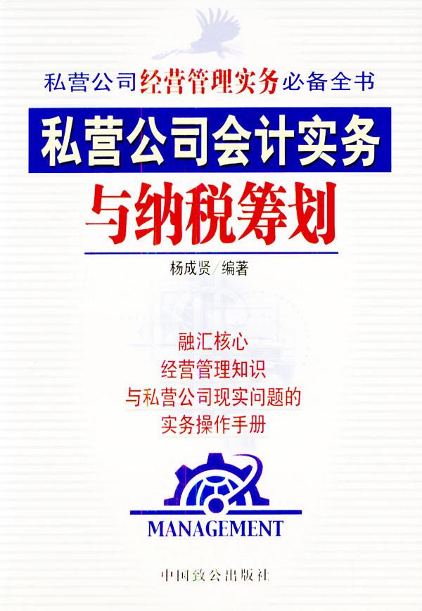 私营公司会计实务与纳税筹划【正版】