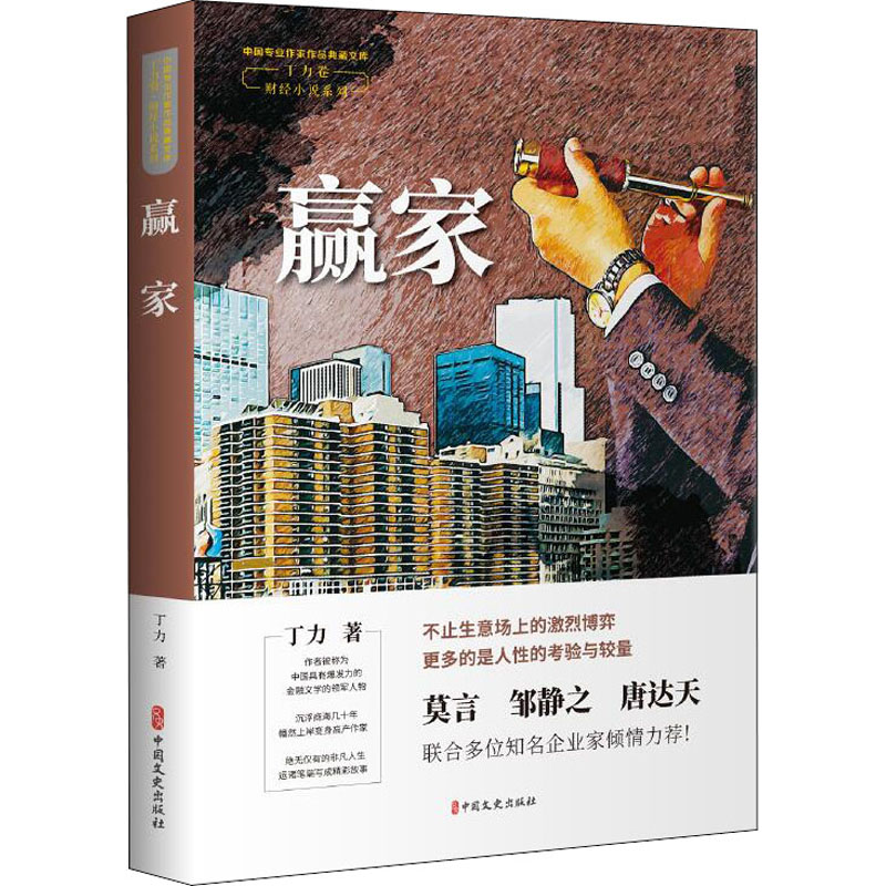 赢家 丁力 著 官场、职场小说