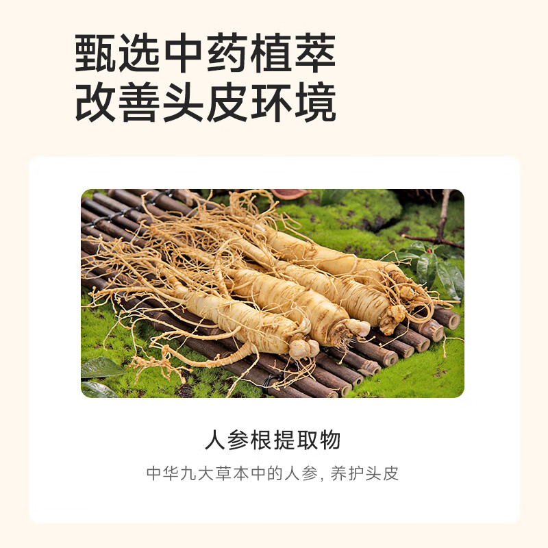 老中医人参何首乌润养洗发水 丰富泡沫平衡油脂强韧发根减少断发分叉 【防断发】人参何首乌双萃洗发水