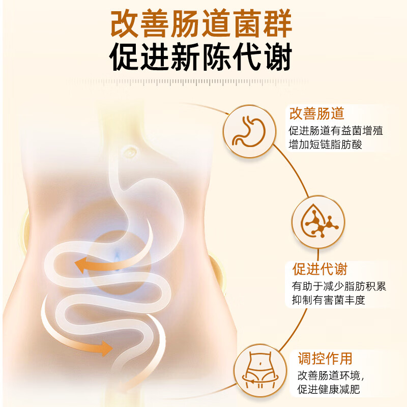 AULESET德国左旋肉碱胶囊减肥药瘦肚子燃脂减肥瘦身降脂强效肚子排油用 3盒【推荐周期装 助力代谢 燃脂瘦身3-10斤】