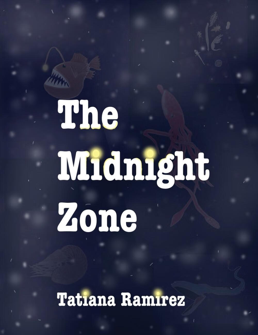 【预售 按需印刷】the midnight zone