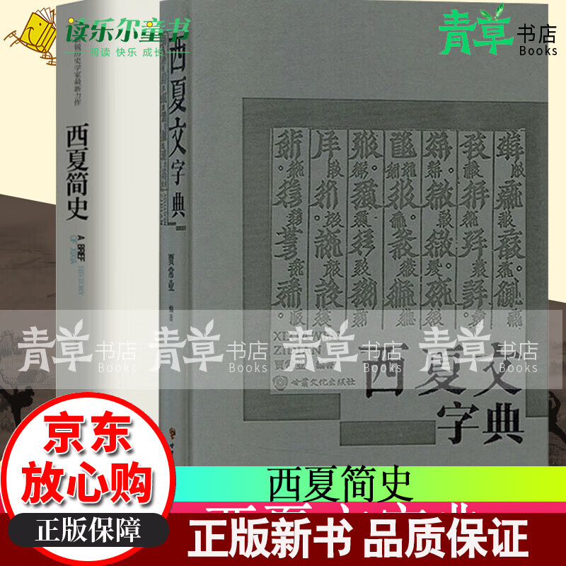 全2册 西夏文字典 贾常业+西夏简史 甘肃文化出版社西夏文教程西夏史 西夏国的形成 中国历史语言书籍