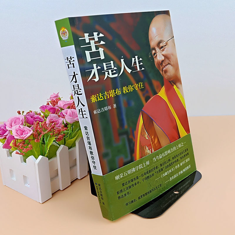 苦才是人生索达吉堪布佛教哲学认识人生之苦才能找到幸福哲学书籍 苦