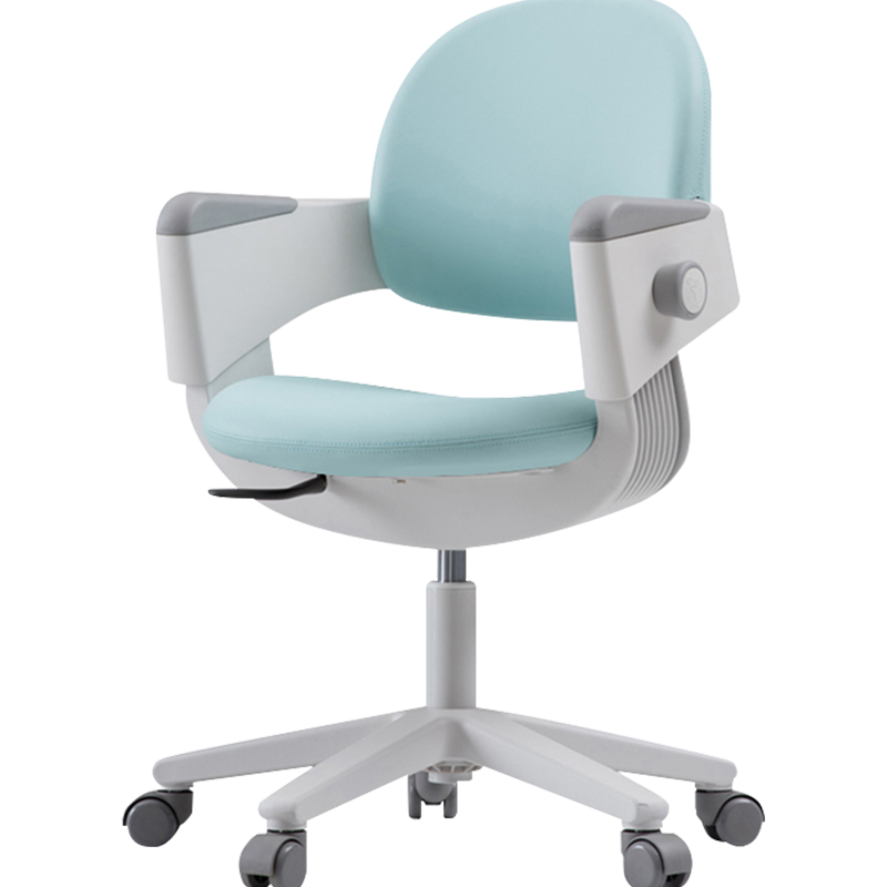 iloom原装进口伶高成长儿童学习椅子家用小学生写字桌椅人体工学椅可升降高度调节靠背座椅 学习椅【智慧蓝】