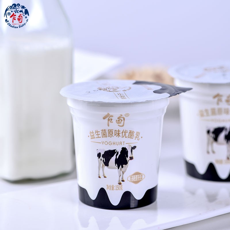 乍甸 益生菌原味优酪乳150g*12杯云南高原牧场酸奶酸牛乳风味发酵乳