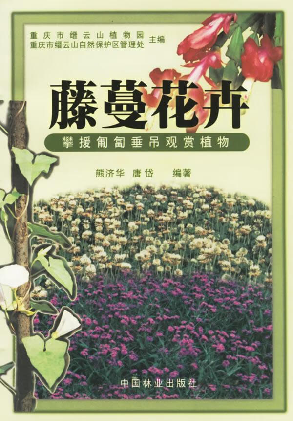 藤蔓花卉:攀援匍匐垂吊观赏植物熊济华家居9787503823824 花卉攀缘植物