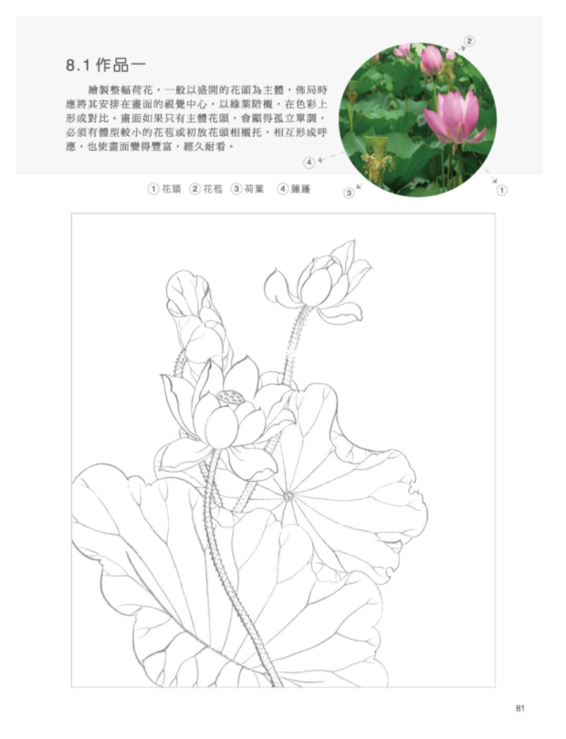 现货原版进口无师自通学工笔:荷花北星邰树文