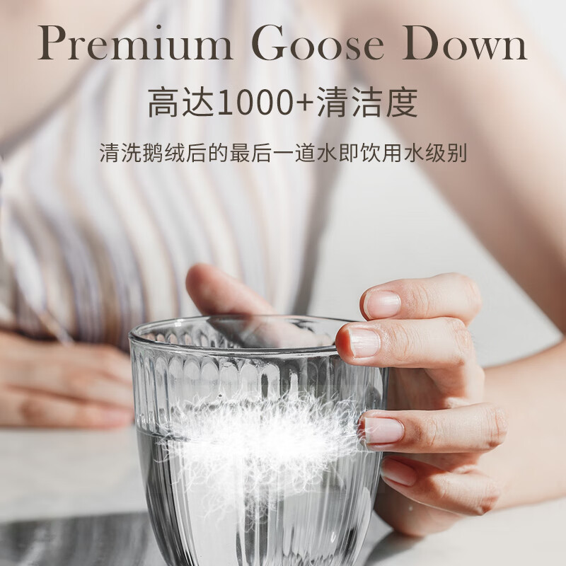 北鹅德国OBB鹅绒被95%白鹅绒被子冬被羽绒被芯冬季厚被子双人被羽绒被 220*240cm 适合1.8/2米双人床 莫奈.睡莲-西伯利亚鹅绒冬被