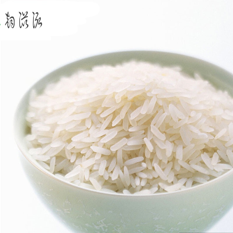 虎钢馋现货直发农家自产新大米10斤真空包装5kg丝苗猫牙米长粒香米