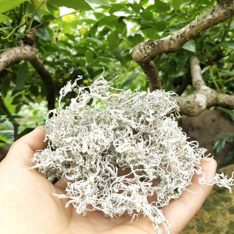 岩亥张家界野生莓茶 藤茶莓茶特级牙尖500g送礼 龙须莓茶500克