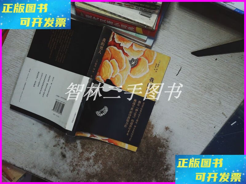 【二手9成新】我的男人 上海译文出版社