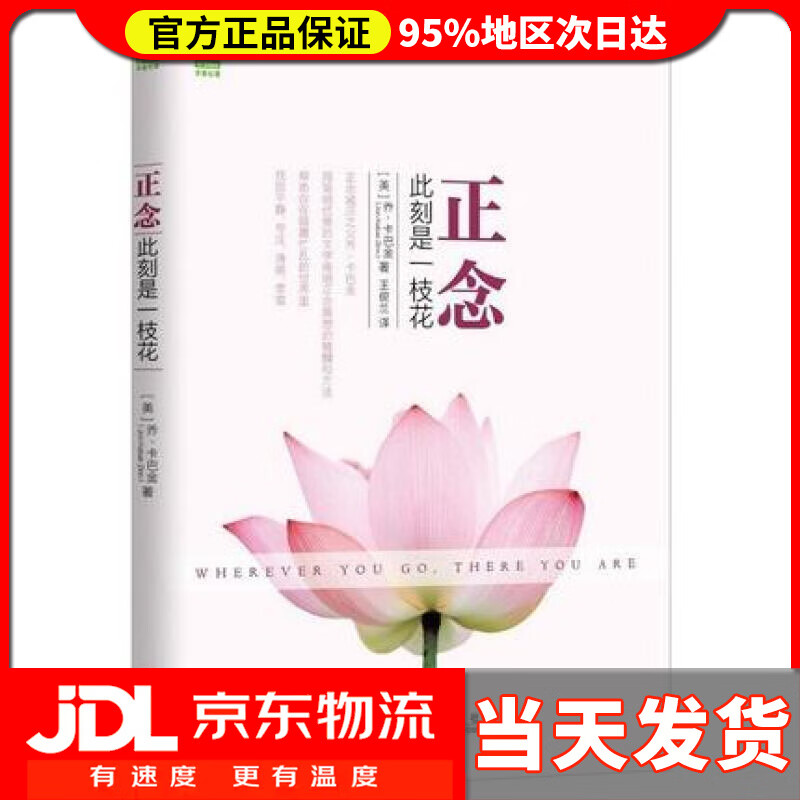 【 送货上门】正念  此刻是一枝花 乔·卡巴金