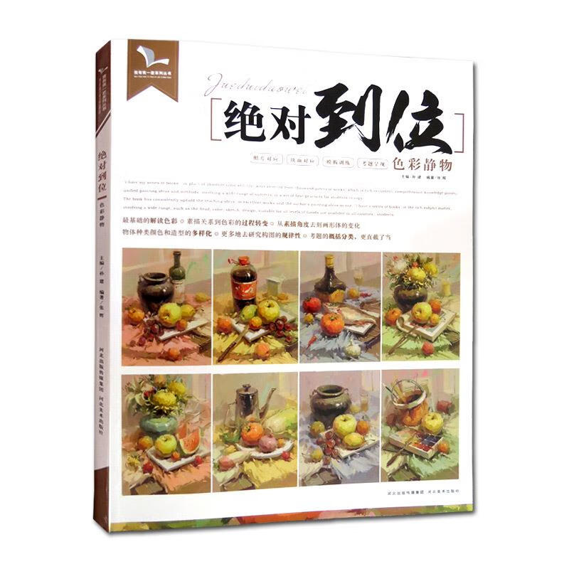 绝对到位色彩静物 张辉【正版】