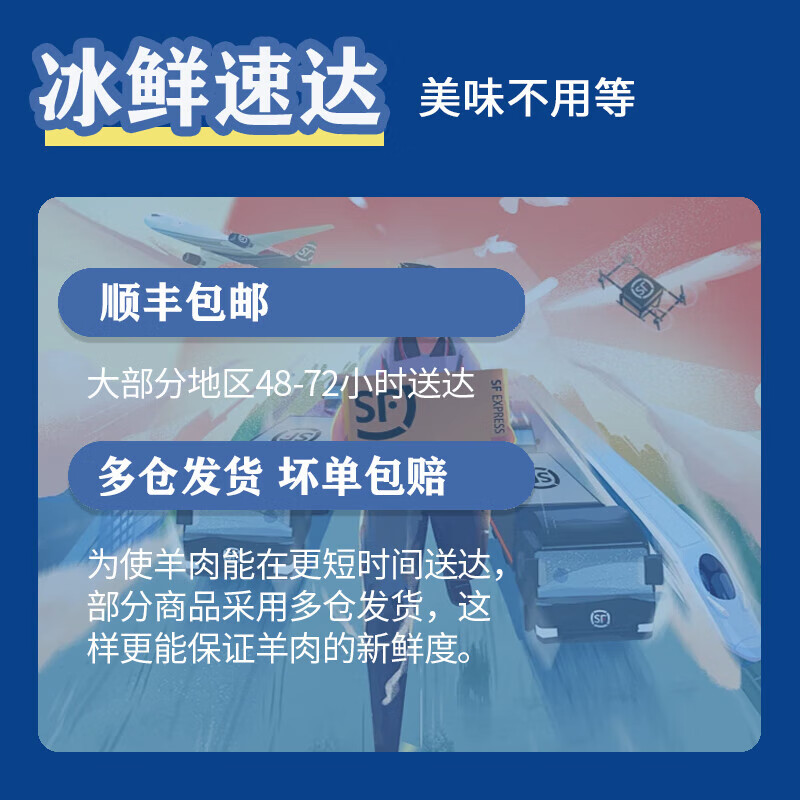 午羊 宁夏滩羊肉 生鲜 原切单肋法式羊排羊肉串 战斧肋排 西餐烧烤食 法式羊排12支