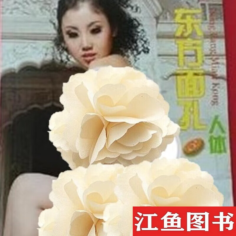 【正版8成新】新东方面孔3 摄影模特造型摄影 书籍 标准 标准