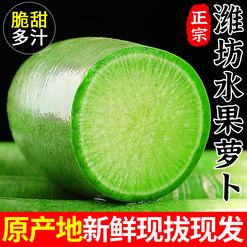 粤迎水果萝卜甜脆水果型正宗潍坊萝卜潍县青萝卜新鲜生吃蘸酱水果萝卜 5斤优选果【脆甜多汁】净4.5斤
