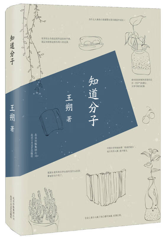 【新华书店】王朔:知道分子（2015版）