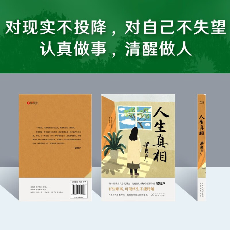 【旗舰正版】梁晓声作品集:人生真相 心的告白 电视剧 人世间 茅盾