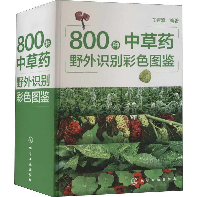 800种中草药野外识别彩色图鉴 车晋滇 编 书籍