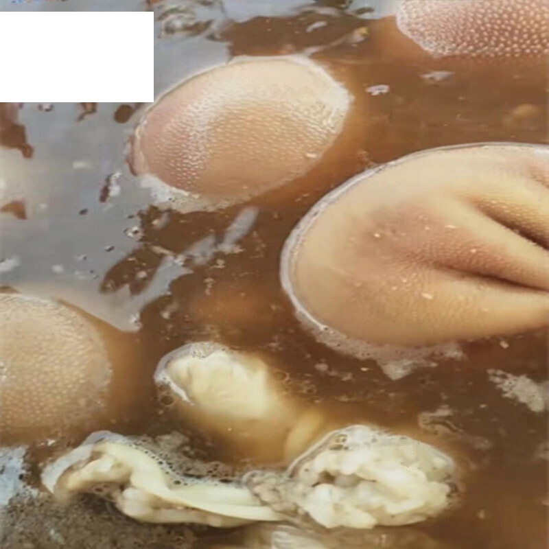 1斤网红款网红羊肚包羊脑即食全熟羊肚包羊脑羊下水