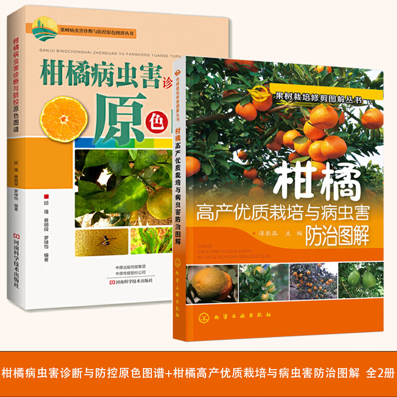 柑橘病虫害诊断与防控原色图谱 柑橘高产优质栽培与病虫害防治图解 全